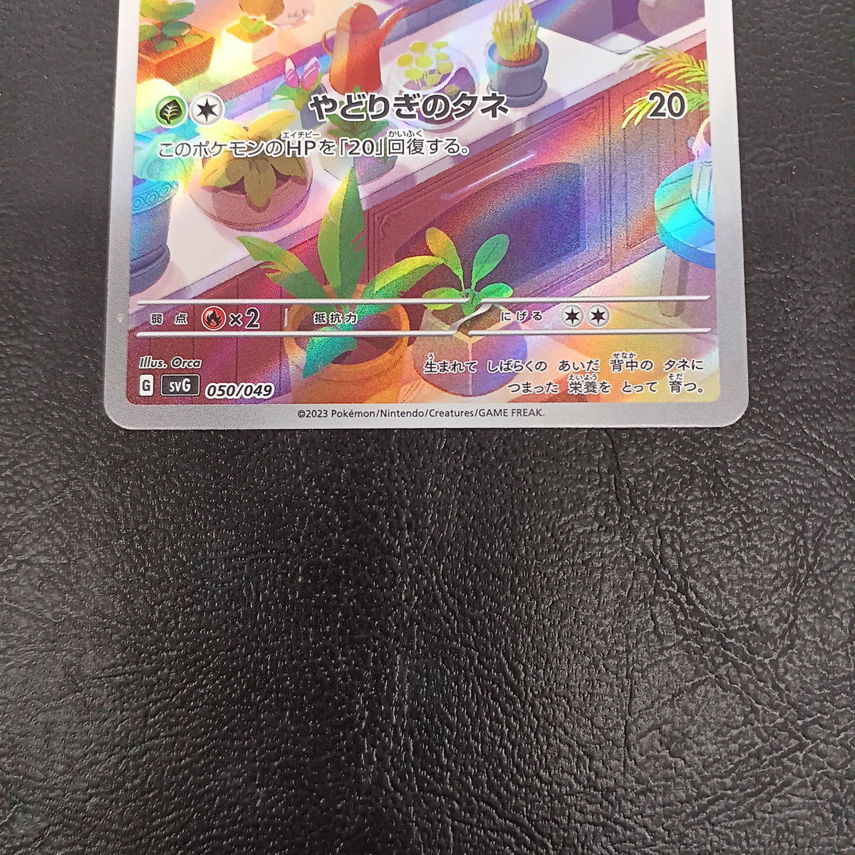 Pokémon Pokémon Card Game 050/049 Bulbasaur - Banzai Thrifting | BanzaiHobby