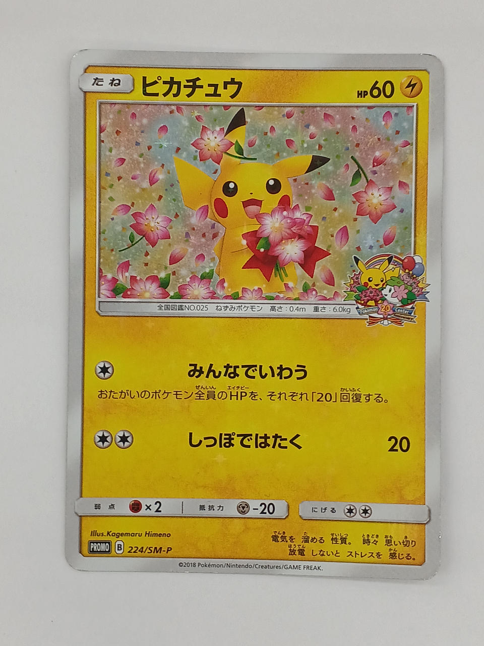 Pokémon Pikachu 224/SM/P Other (No Rarity) - Banzai Thrifting | BanzaiHobby