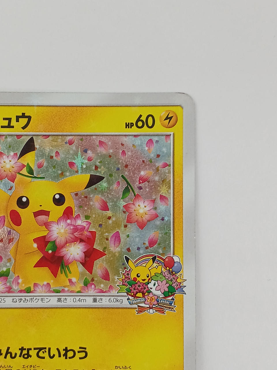 Pokémon Pikachu 224/SM/P Other (No Rarity) - Banzai Thrifting | BanzaiHobby