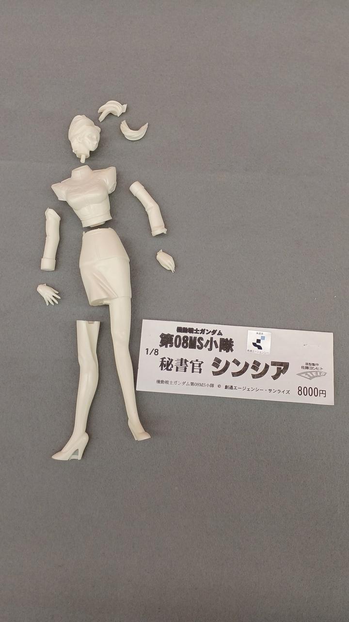 FIELD Secretary Cynthia Secretary Cynthia - Banzai Thrifting | BanzaiHobby