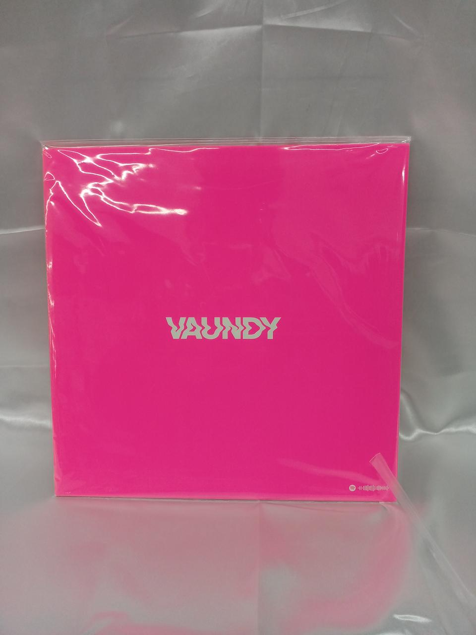 SDR LP Record (Scratches on Both Sides) ZXRV-1001 VAUNDY Strobo+