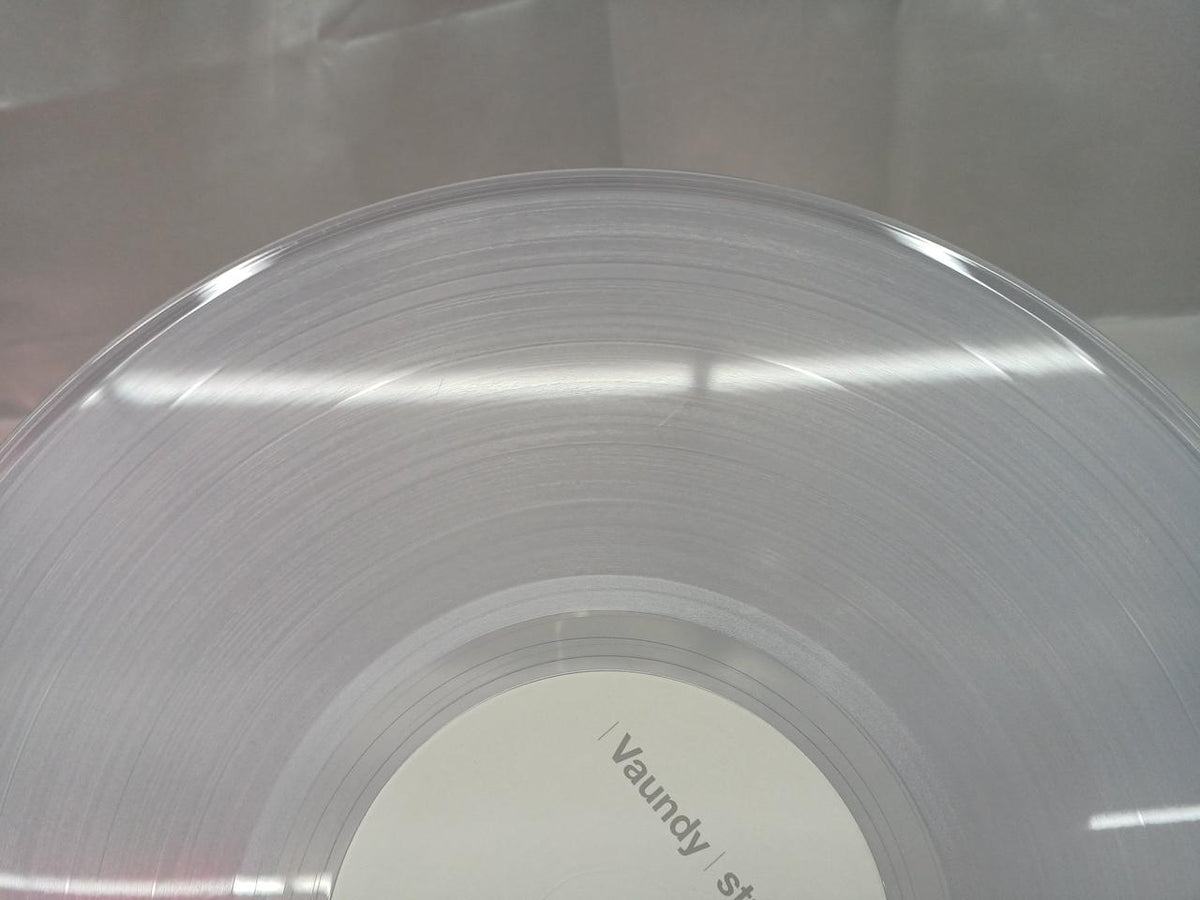SDR LP Record (Scratches on Both Sides) ZXRV-1001 VAUNDY Strobo+
