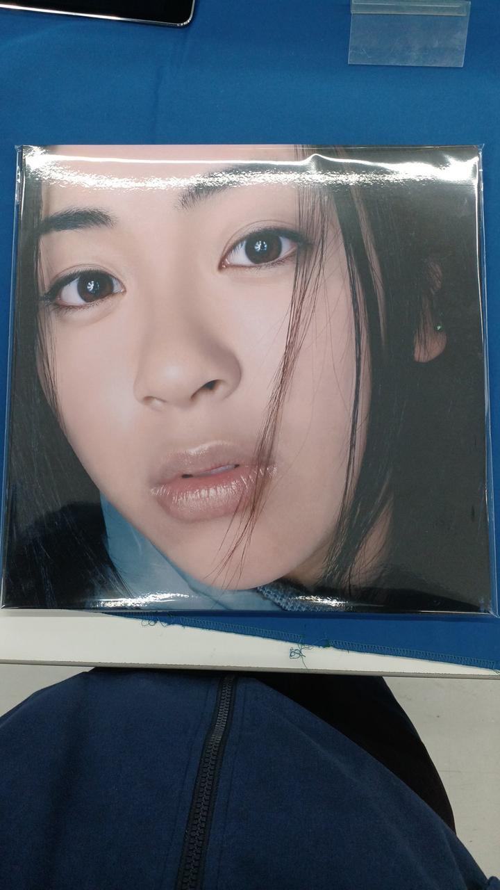 UNIVERSAL MUSIC Hikaru Utada / FIRST LOVE UPJY-9202/3