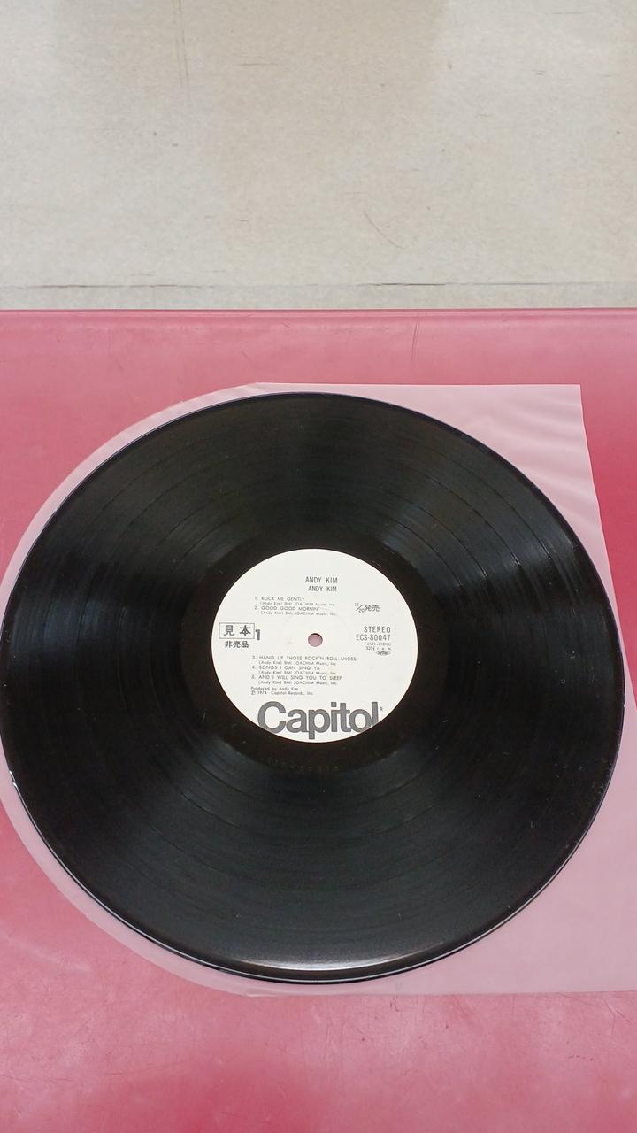 Toshiba EMI Western Music by Andy Kim / Portrait of a Magnificent Person