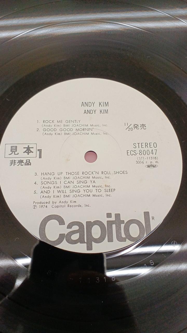 Toshiba EMI Western Music by Andy Kim / Portrait of a Magnificent Person