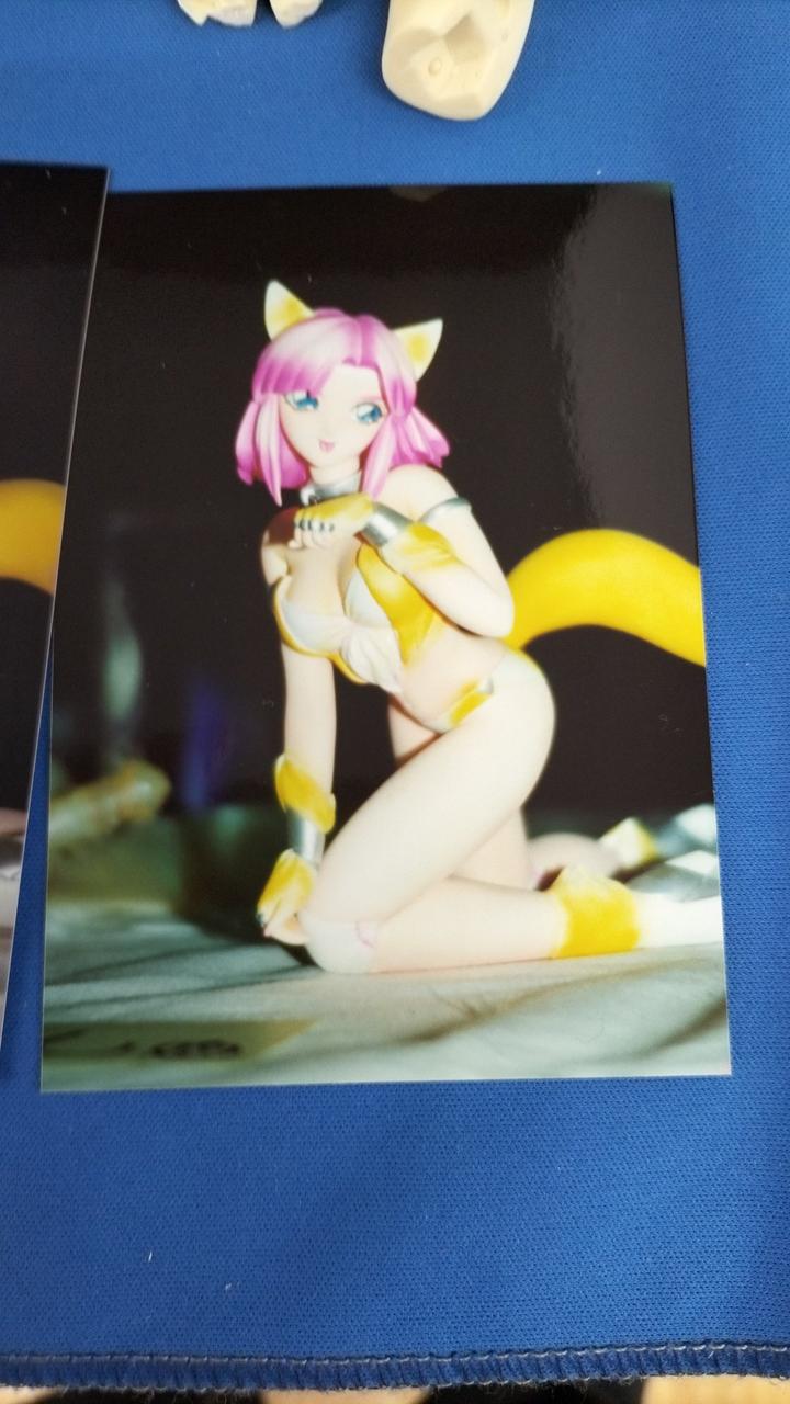 Wonder Festival Garage Kit Fox Big Sister - Banzai Thrifting | BanzaiHobby