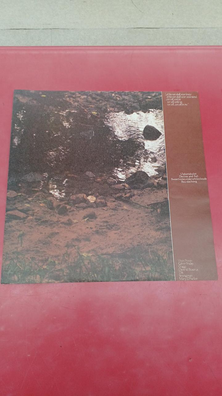 Tokuma Japan Western Music VIRGIN PRUNES/... IF DIE,I DIE