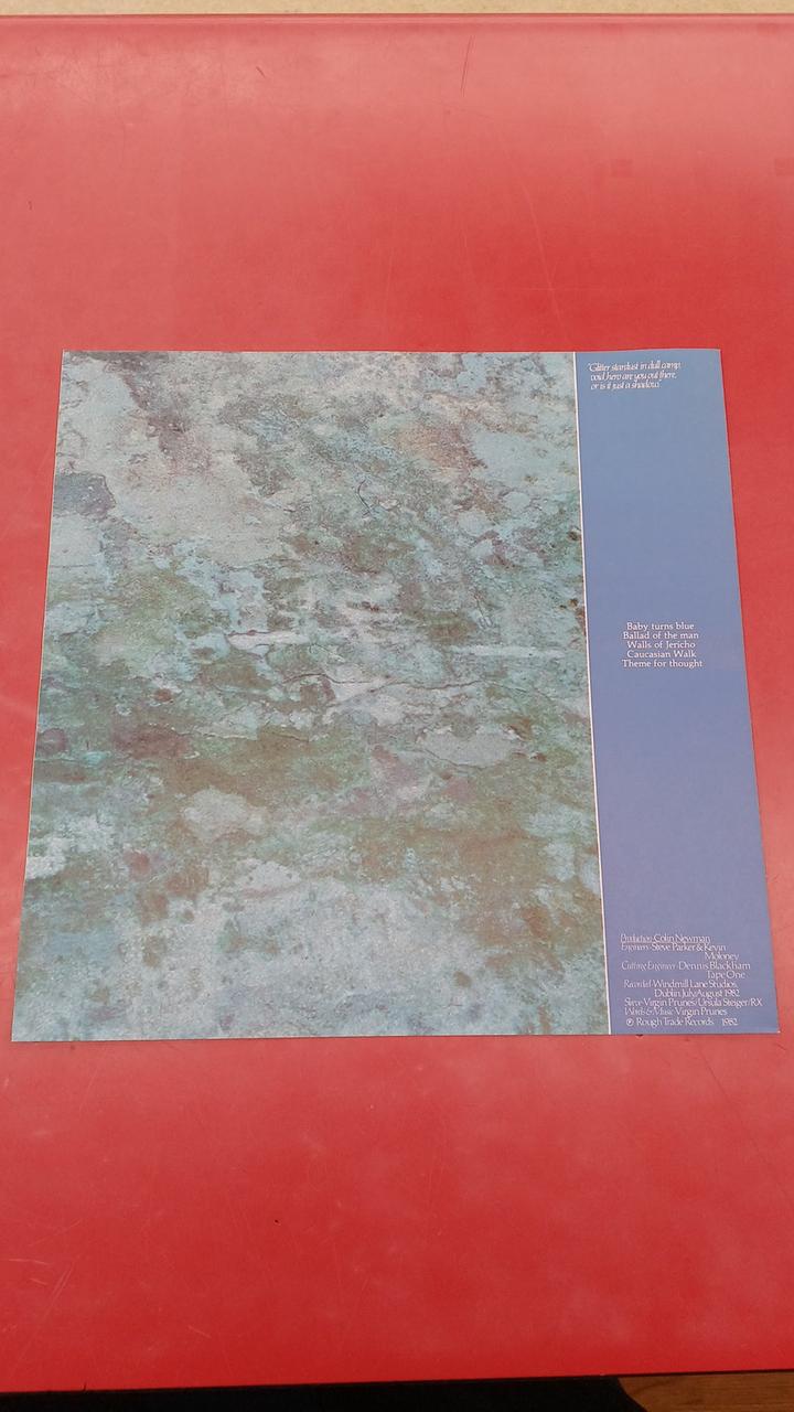 Tokuma Japan Western Music VIRGIN PRUNES/... IF DIE,I DIE