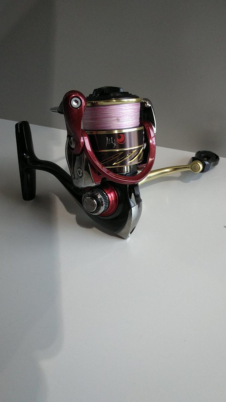 DAIWA Spinning Reel 14 Months Off the Beauty 2004