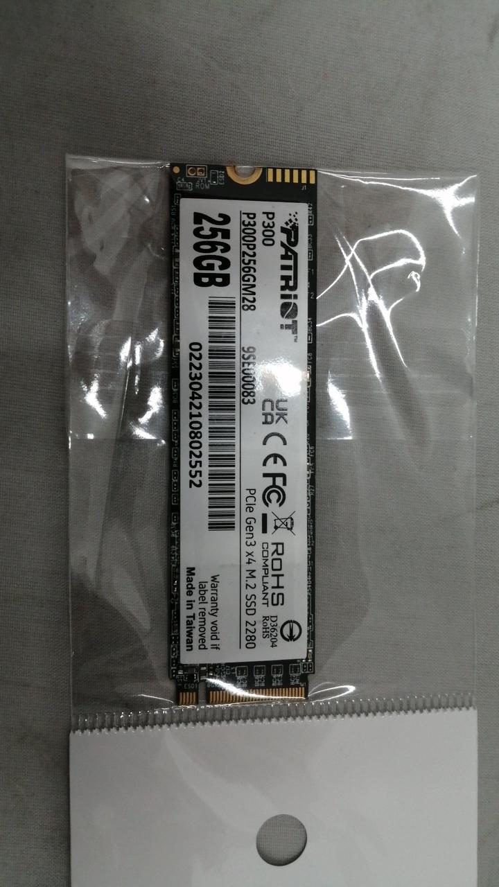 PATRIOT M.2 P300P256GM28