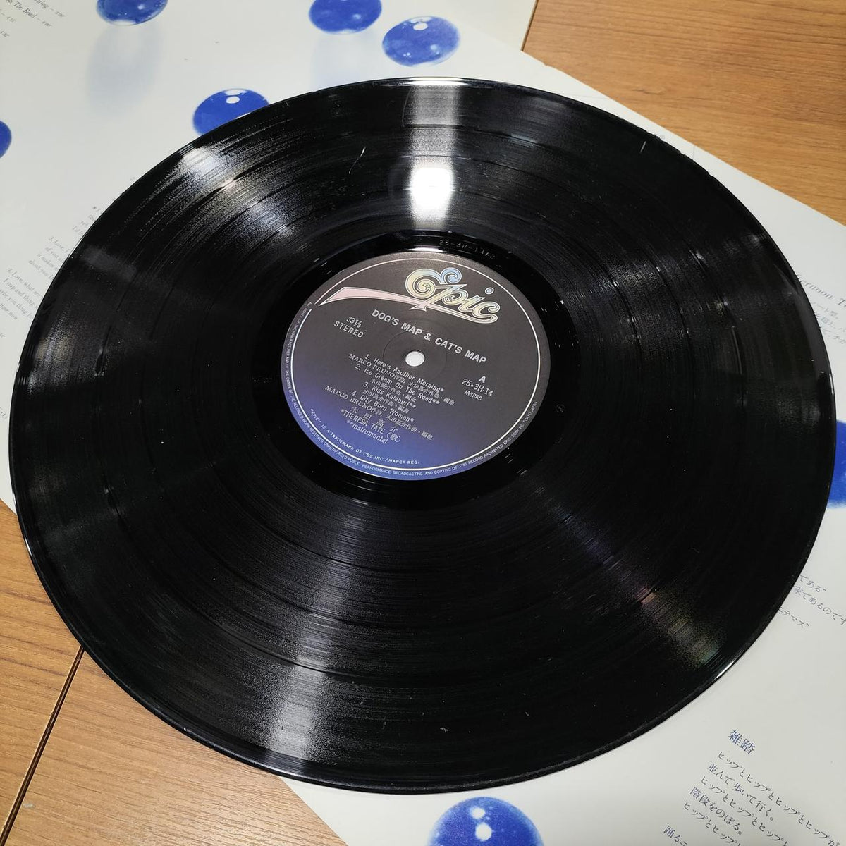 EPIC Sony LP Record DOG'S MAP & CAT'S MAP