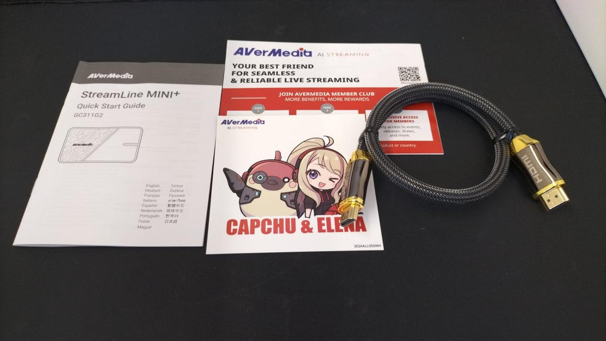 AVERMEDIA Capture GC311G2