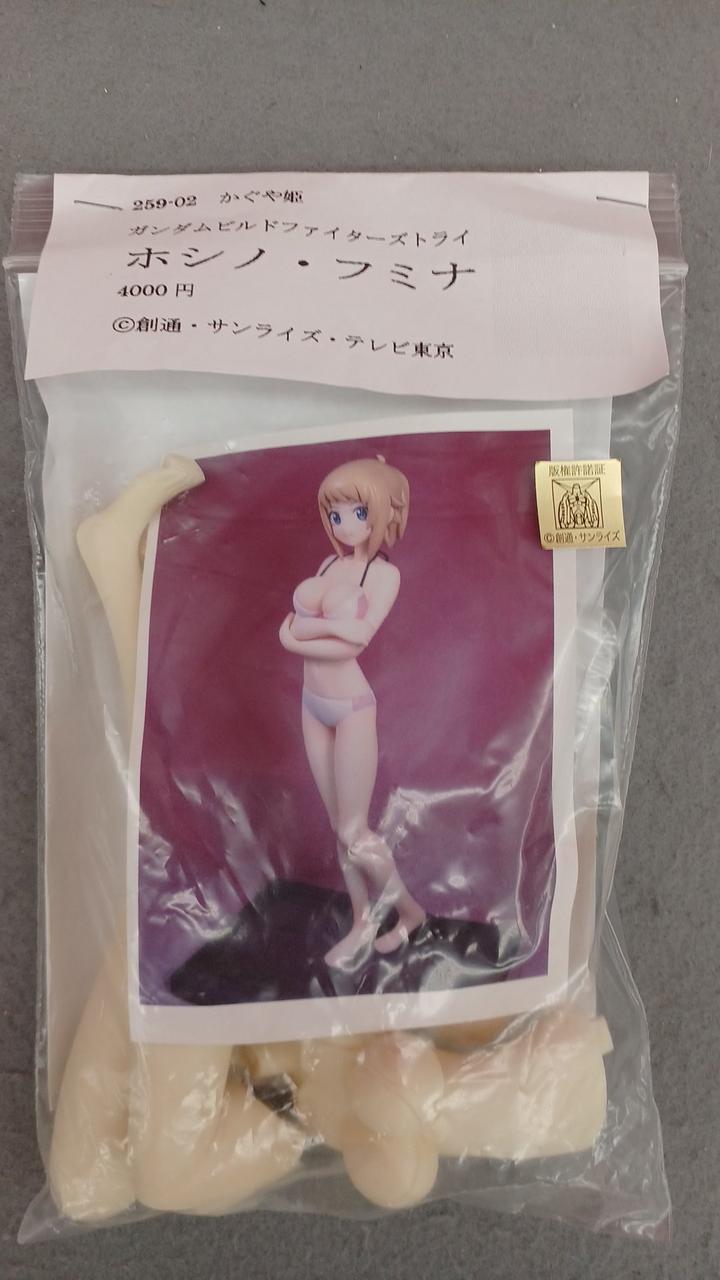 Princess Kaguya Gundam Build Fighters Try Fumina Hoshino - Banzai Thrifting | BanzaiHobby