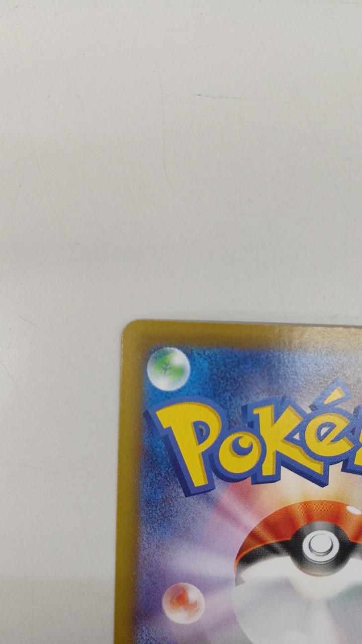 Pokémon Pokémon Card Mega Bulbulgur EX