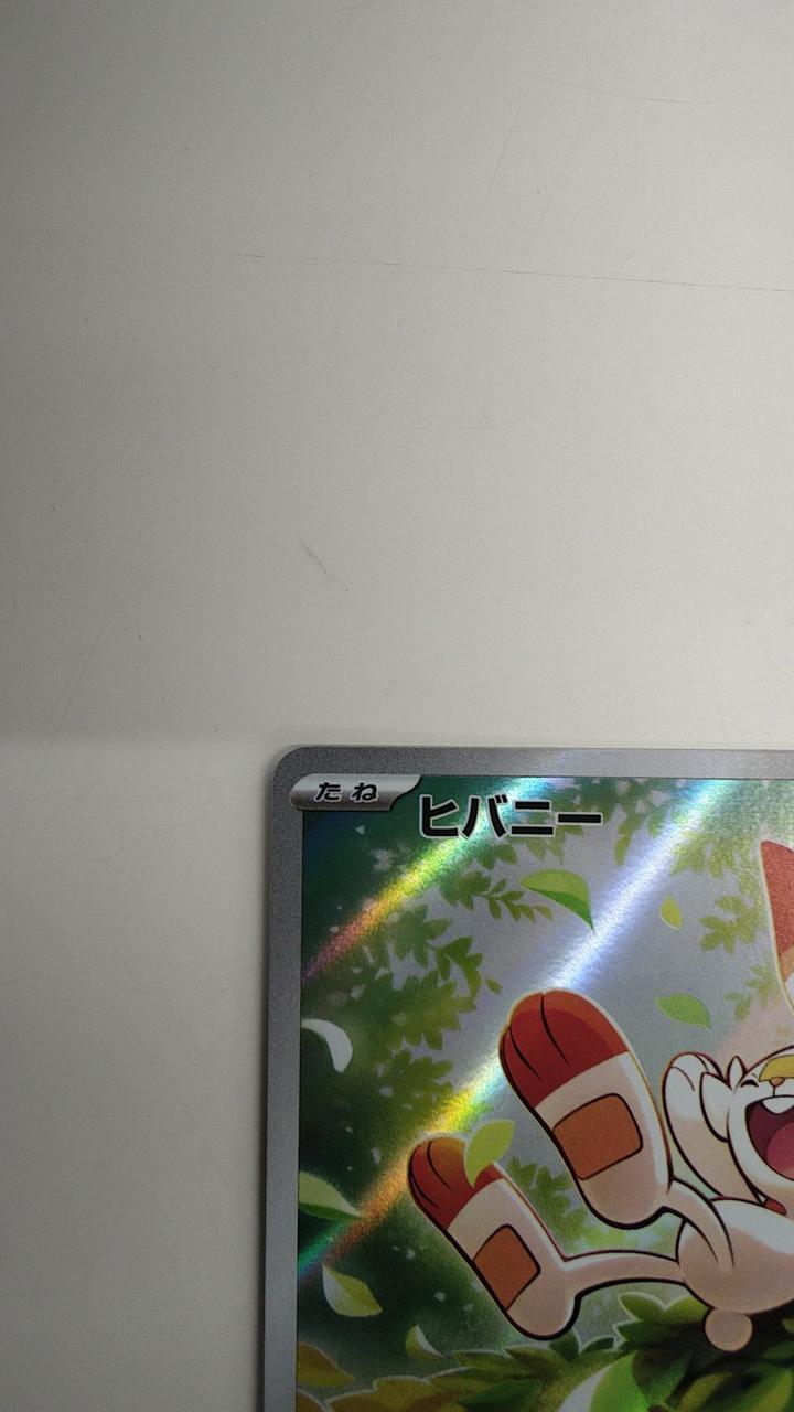 Pokémon Rare Card Hibbany