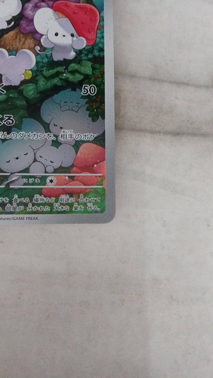 Pokémon Squid rat 081/071