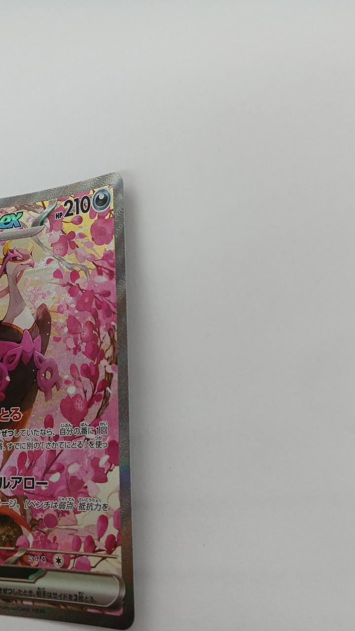 Pokémon Hochikigisu EX M2A-244