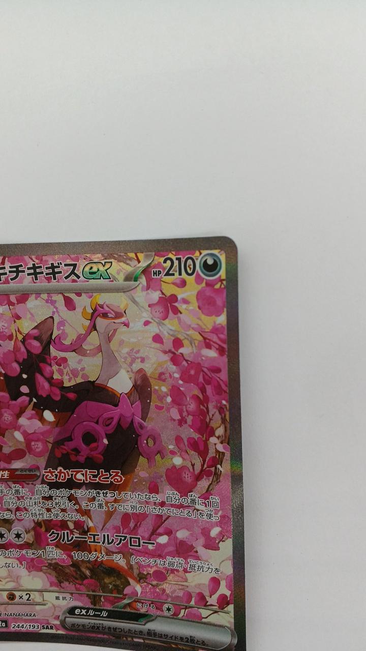 Pokémon Hochikigisu EX M2A-244