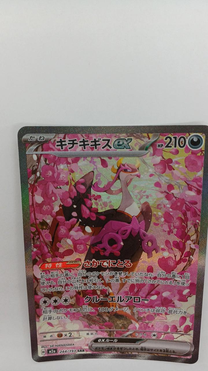 Pokémon Hochikigisu EX M2A-244
