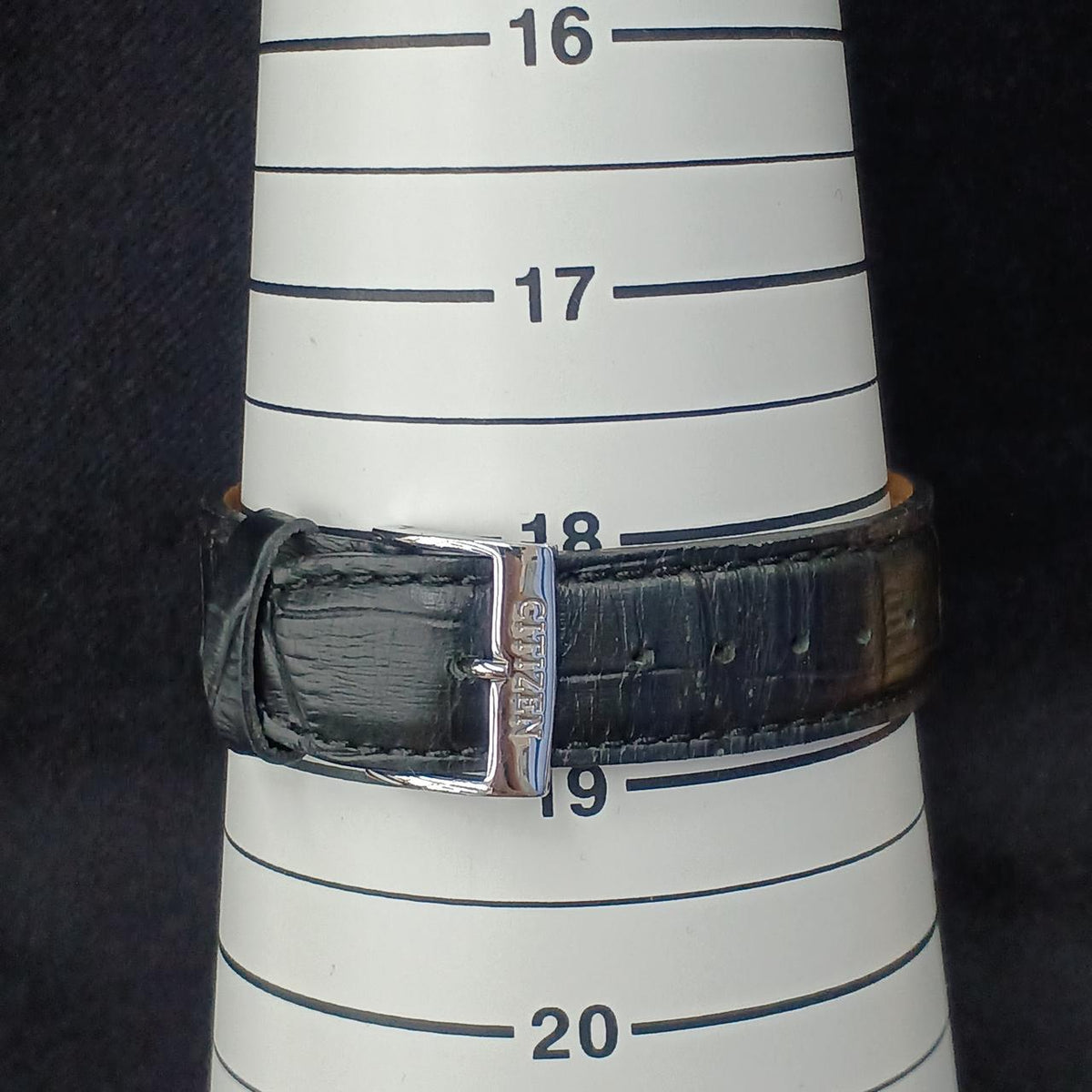 CITIZEN Automatic Wristwatch NP1011-08A
