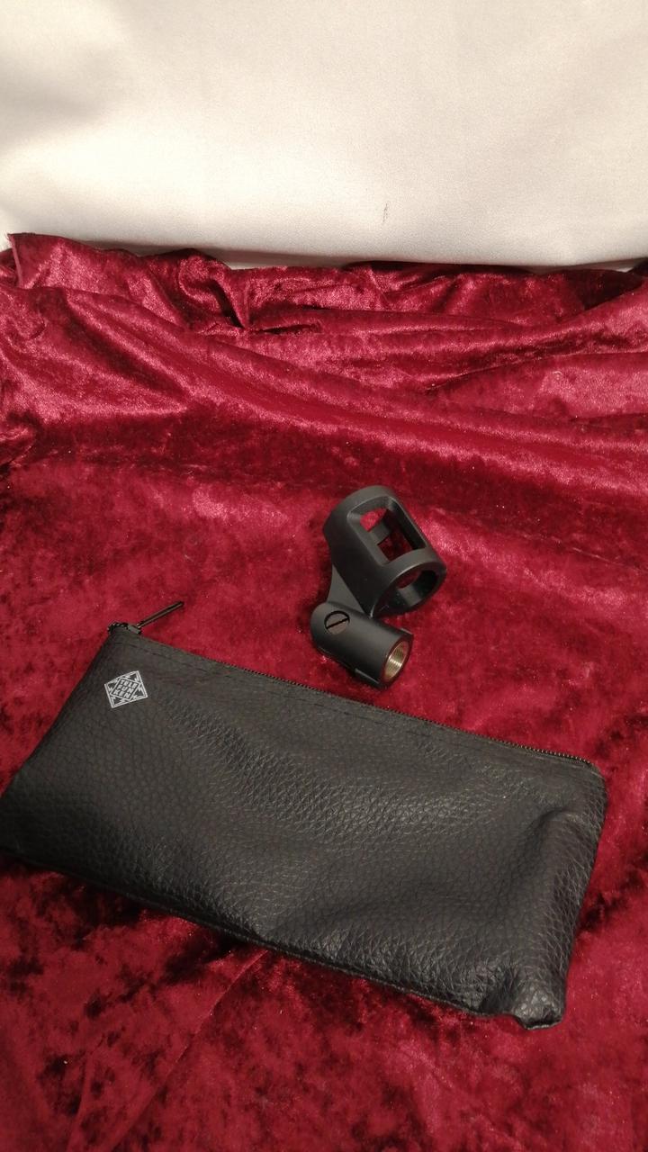 TELEFUNKEN Dynamic Microphone M80