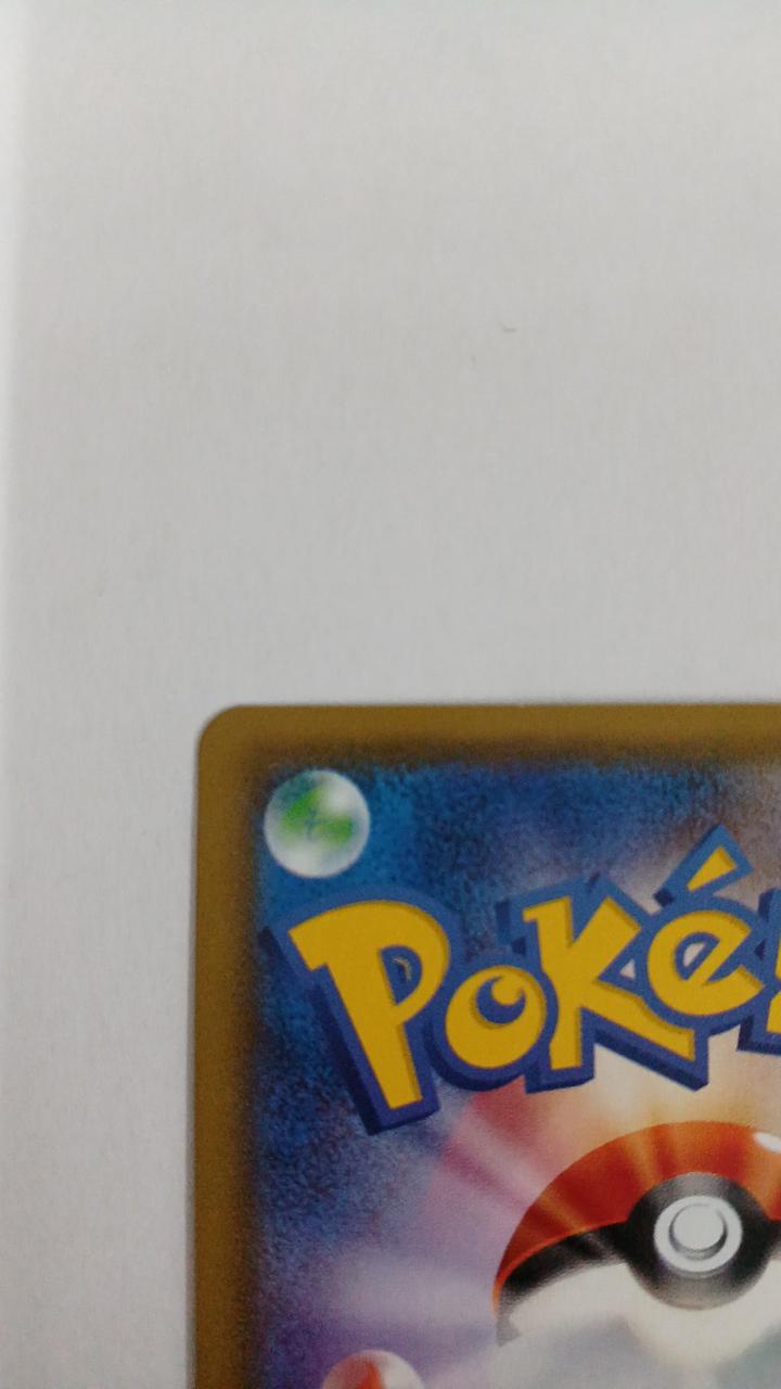 Pokémon Card Raichu & Alola Raichu GX 008/054