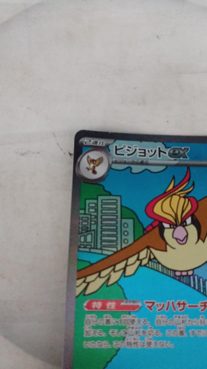 Pokémon Card Pidgeot EX 136/108