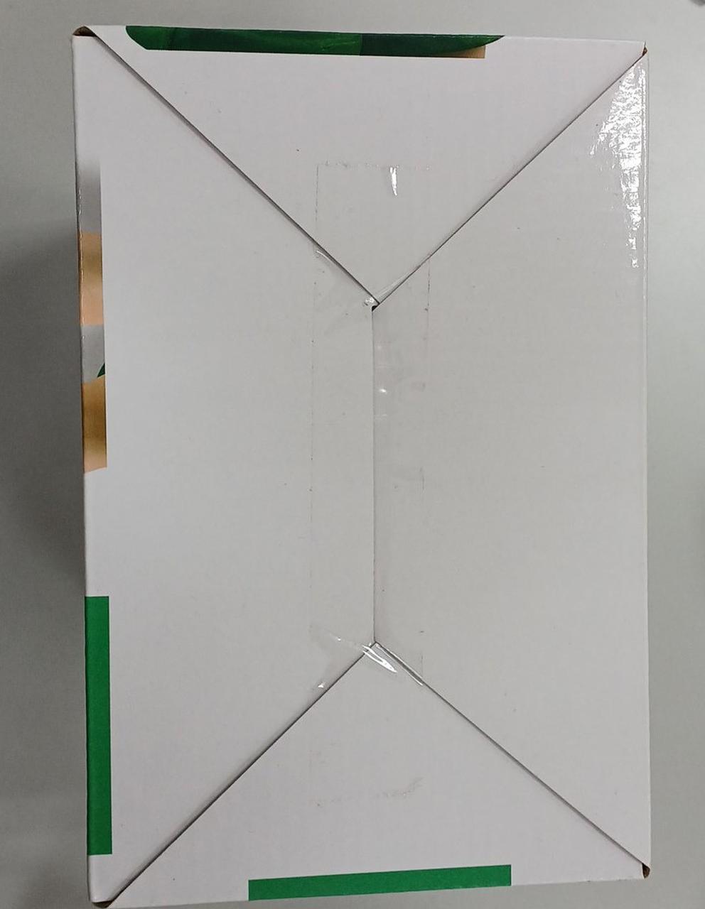 BANDAI Ichiban Kuji HUNTER× HUNTER Gon Prize A