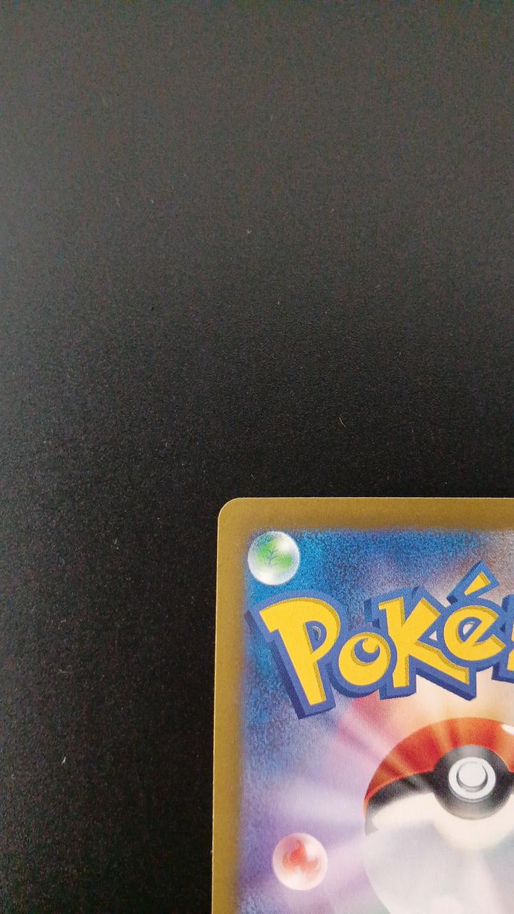 Pokémon Sunanokegawa EX 089/066/SV4K/B SAR