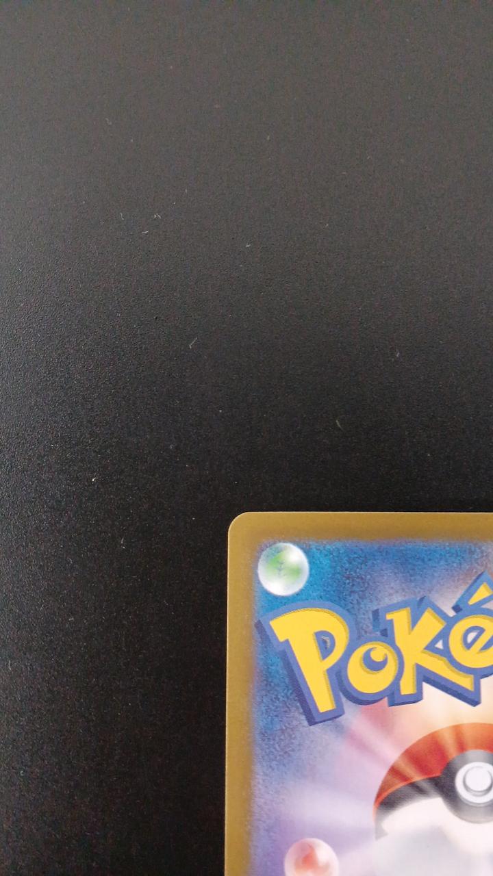 Pokémon Daigo Dunbar 019/018/SVOD/B Other (No Rarity)