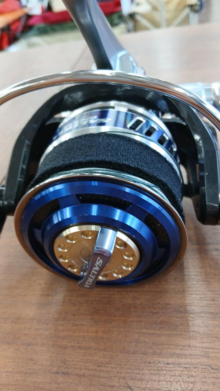 DAIWA Spinning Reel 10 SALTIGA 6000GT