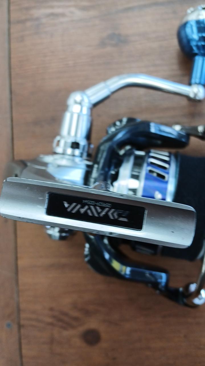 DAIWA Spinning Reel 10 SALTIGA 6000GT