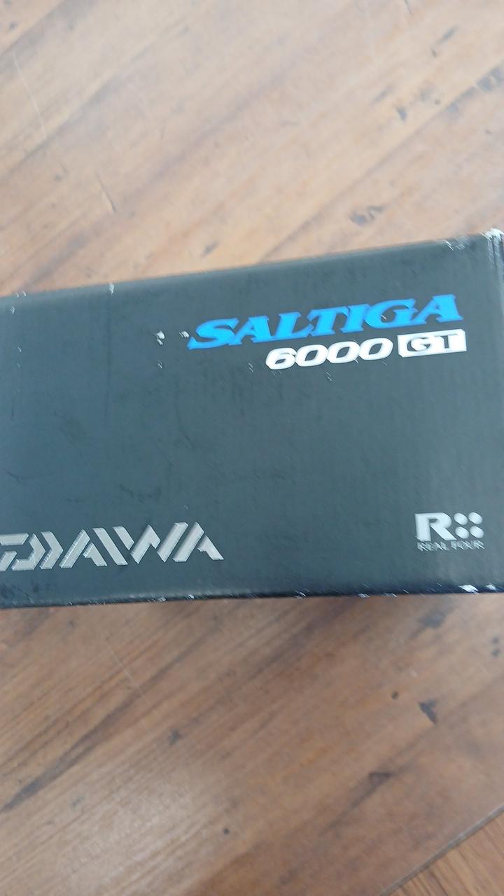 DAIWA Spinning Reel 10 SALTIGA 6000GT