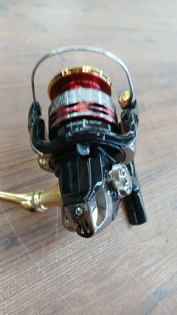 SHIMNO Spinning Reel 14 BB-X HYPER FORCE C2000DXG
