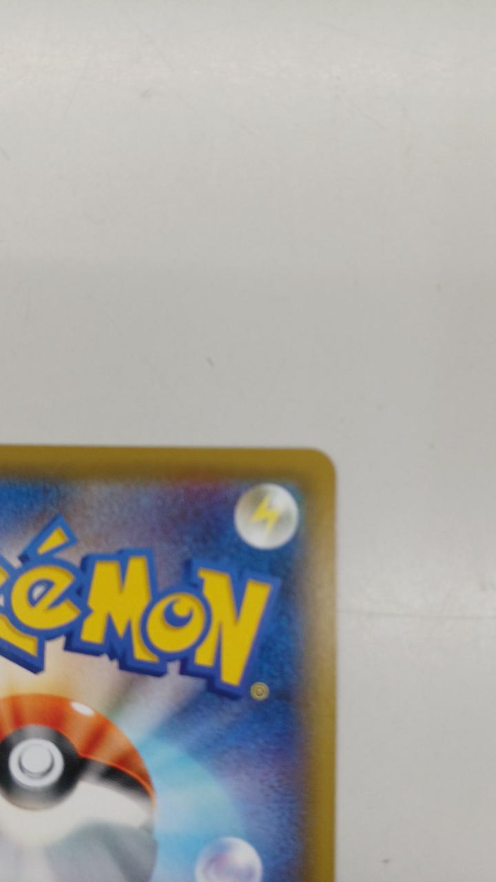 Pokémon Pokémon Card Homica