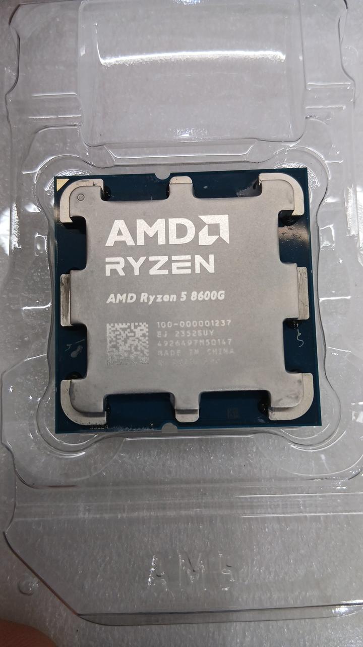 AMD CPU RYZEN5 8600G