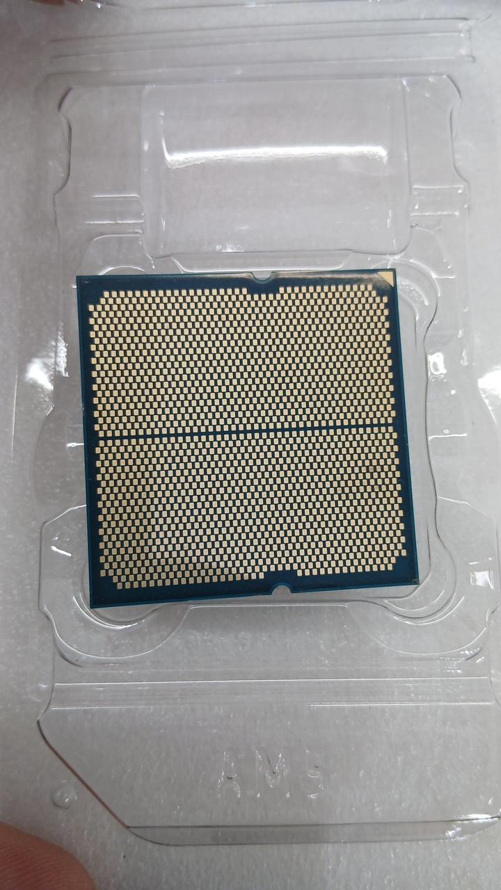 AMD CPU RYZEN5 8600G