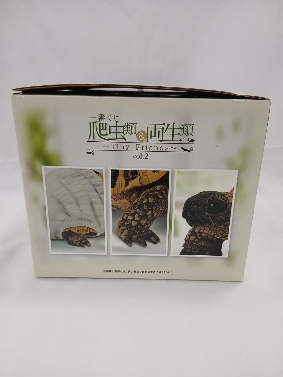 BANDAI Prize C: Hermann Turtle Figure Room Lampo VER. Ichiban Kuji Reptile & Amphibian ~TINY FRIENDS~ VOL2