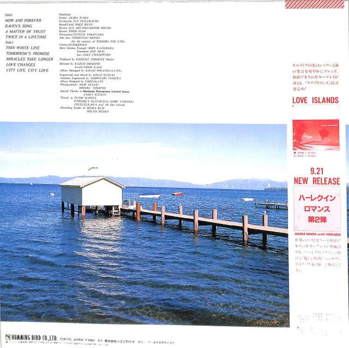 Victor Akira Wada "American Romance" 28HB-2