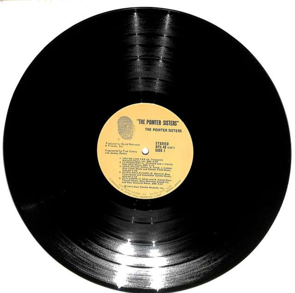 BLUE THUMB The Pointer Sisters "THE POINTER SISTER BTS48" - Banzai Thrifting | BanzaiHobby