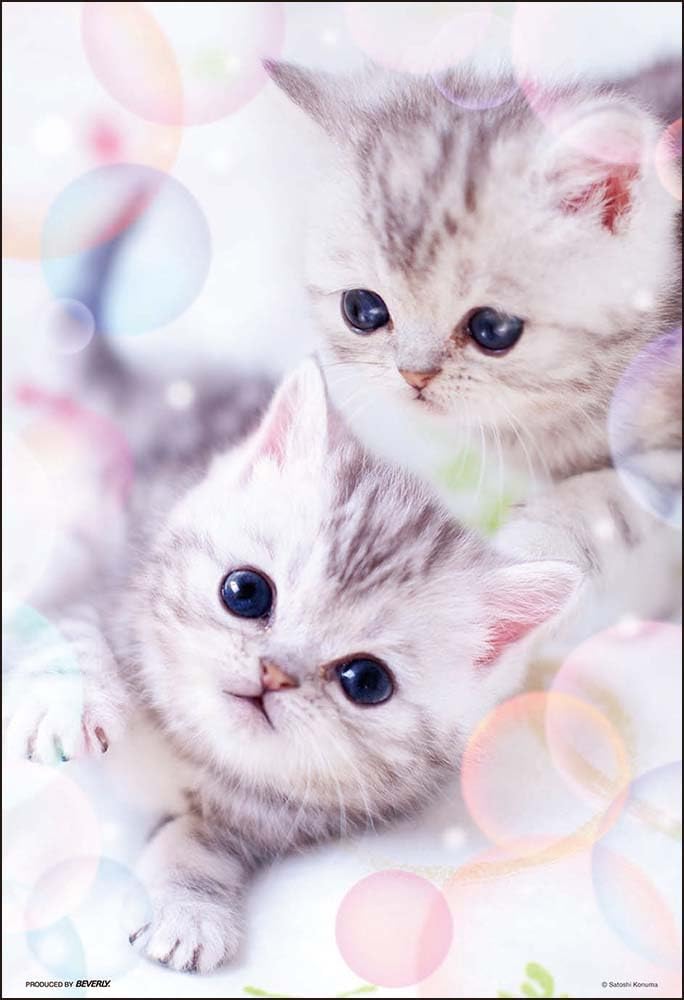 Beverly 300-035Fluffy Cat Pet Puzzle - BanzaiHobby