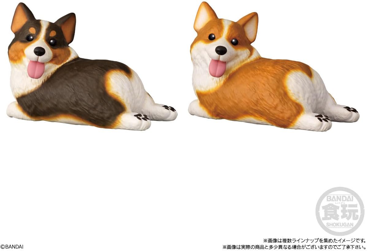 Bandai Mocchiri Kororin Dog (1Box 12pcs) - BanzaiHobby