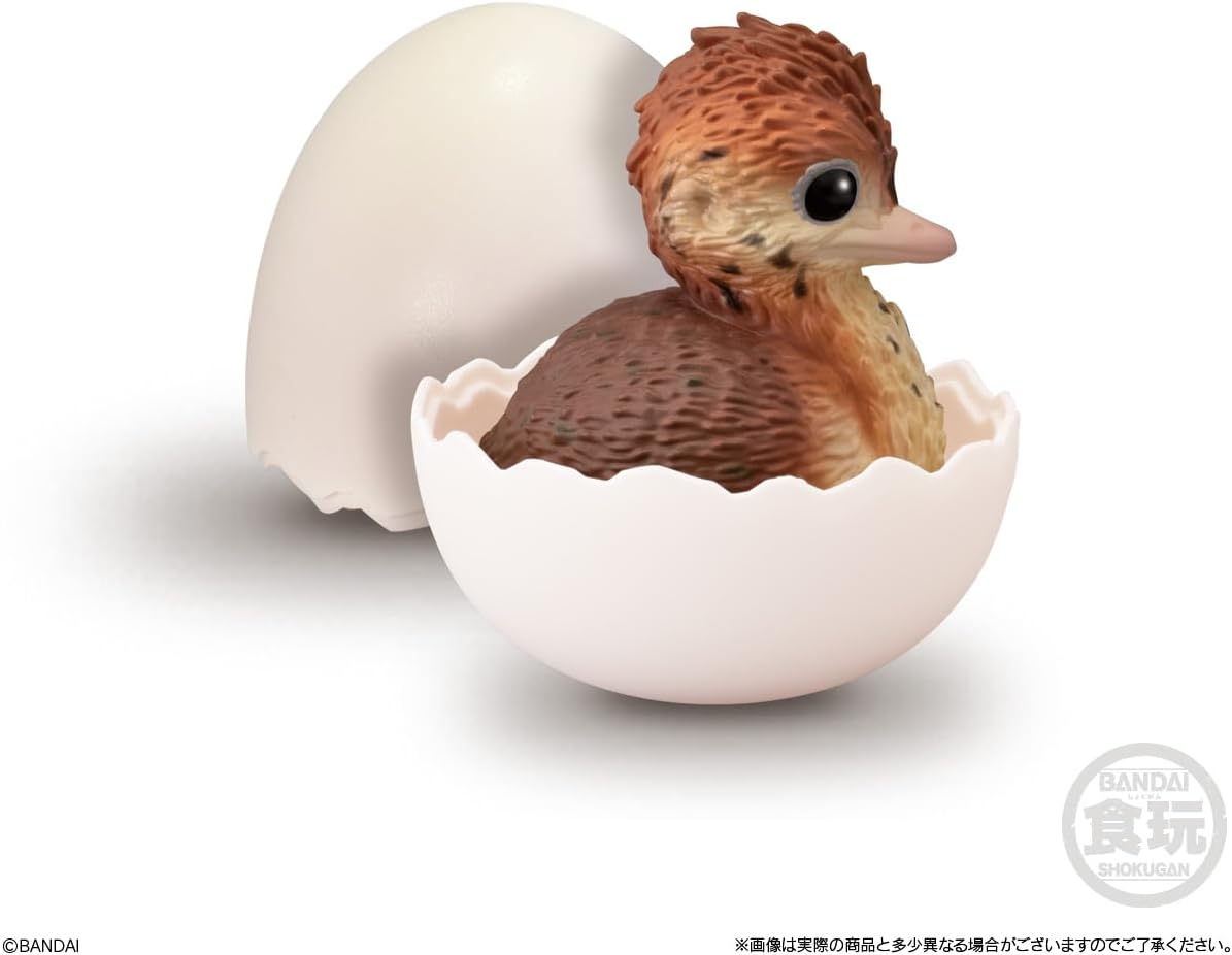 Bandai Handheld Baby Friends -Bird- (1Box 12pcs) - BanzaiHobby