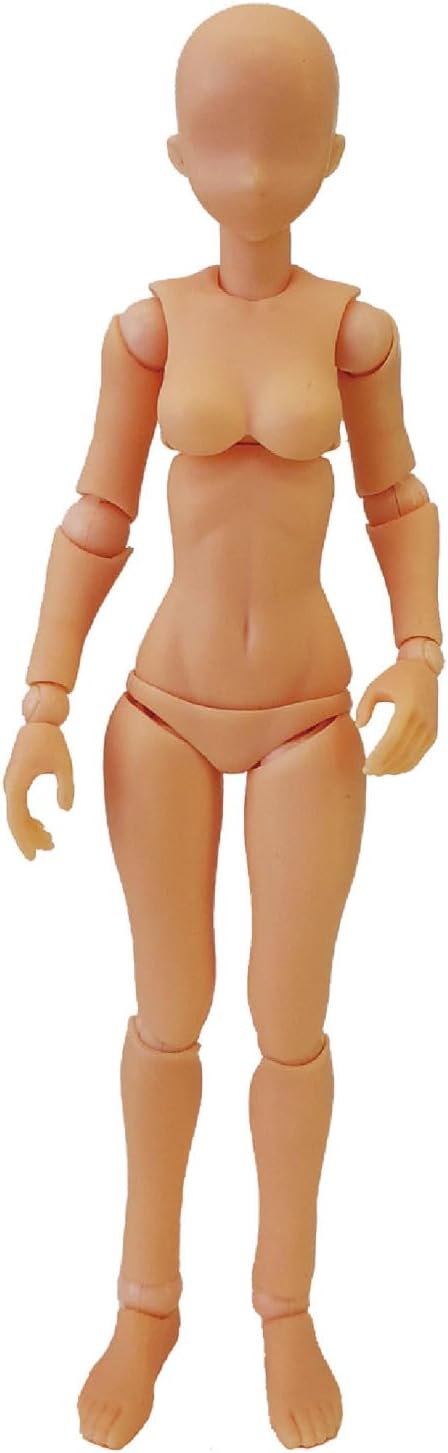 Hobby Base PPC-T134 1/12 Premium Parts Collection Joint Technique EX Material S Fresh - BanzaiHobby