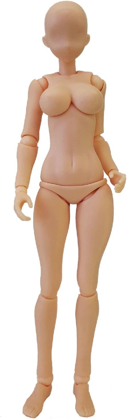 Hobby Base PPC-T141 1/12 Premium Parts Collection Joint Technique EX Material Chan L Light Fresh - BanzaiHobby