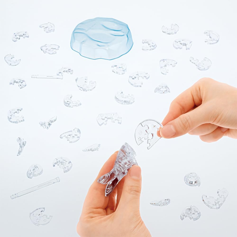 Beverly 50318Baby Seal Puzzle - BanzaiHobby