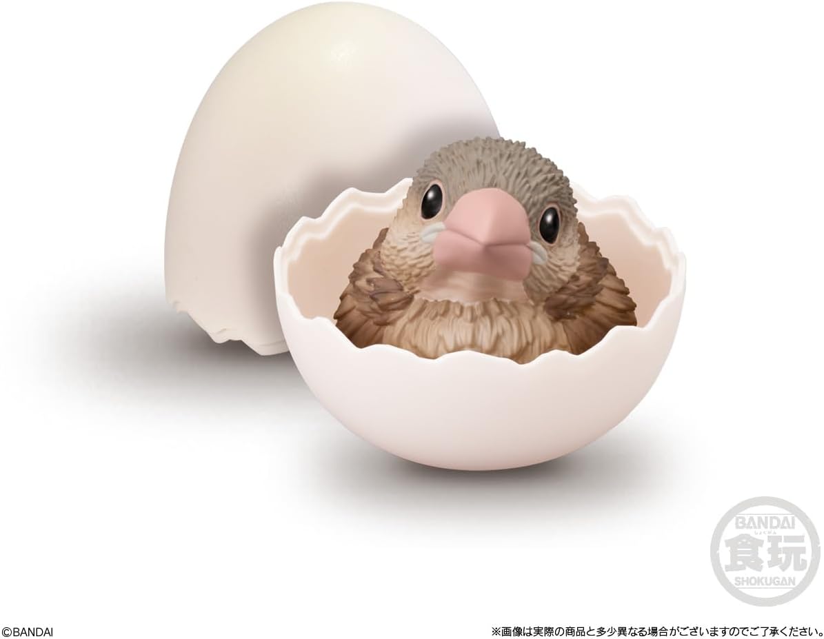 Bandai Handheld Baby Friends -Bird- (1Box 12pcs) - BanzaiHobby