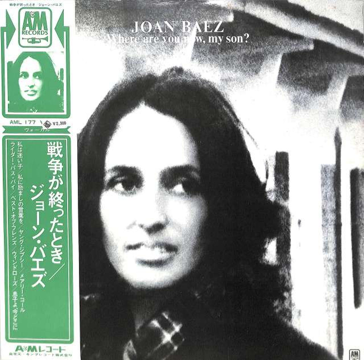 King Joan Baez "When the War Ends" AML177