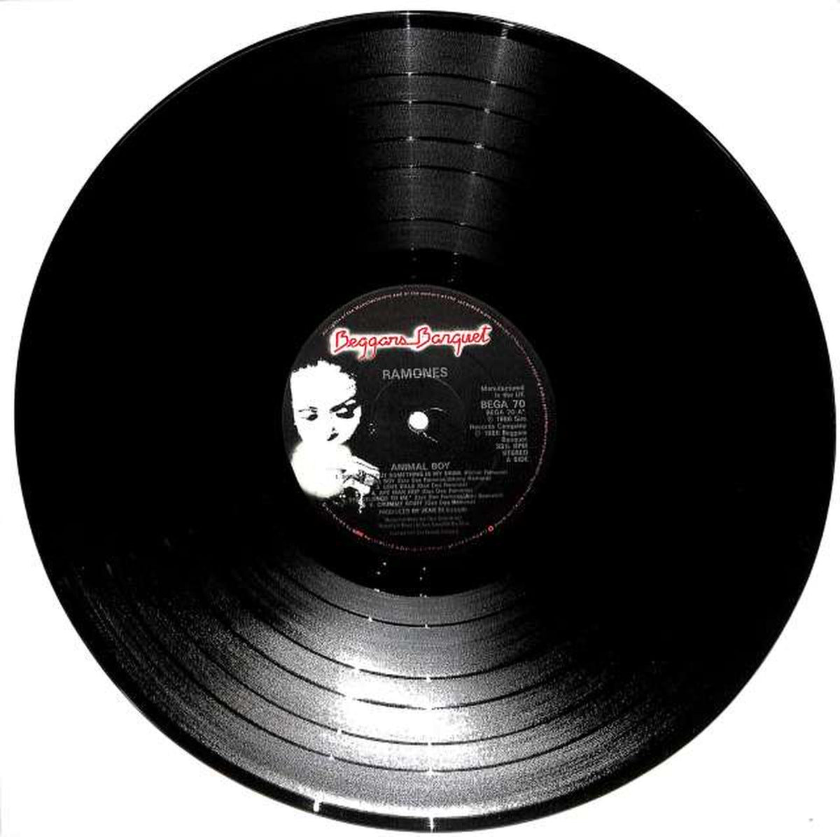 SIRE Ramones 'ANIMAL BOY' BEGA70