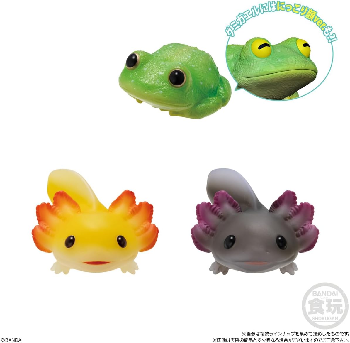 Bandai Tenori Friends 11 -Reptiles/Amphibians- (Set of 12) - BanzaiHobby